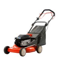 косачки - 52441 възможности