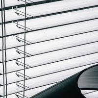 щори - 18494 вида