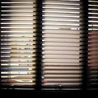 щори - 94148 цени