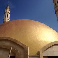 перлени мазилки - 61069 селекции