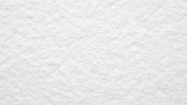 фибран - 73343 вида