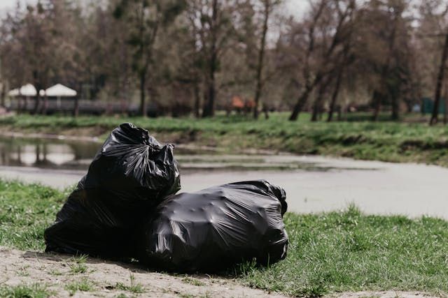 чували за смет - 80685 вида