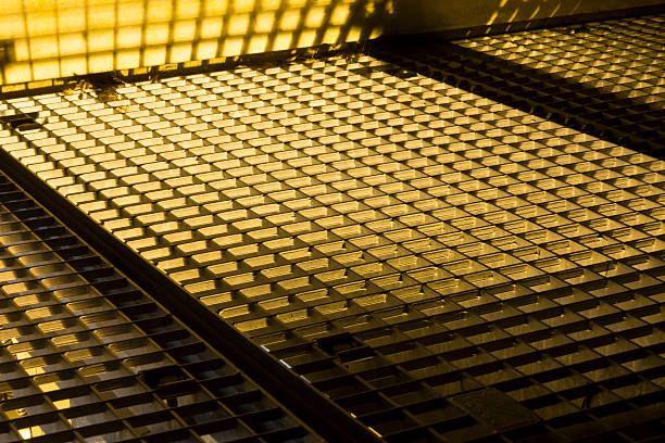 гидероси - 81937 вида