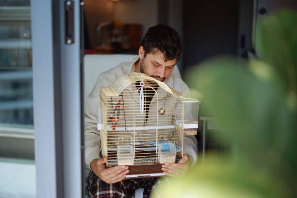 Клетка за вълнисти папагали - 73655 постижения