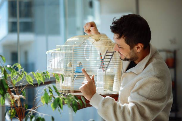 Клетка за вълнисти папагали - 22903 комбинации