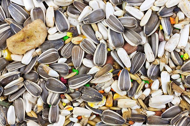 Семена за папагали - 66358 награди