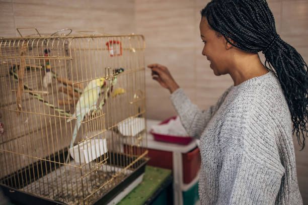 Витамини за папагали - 87972 комбинации