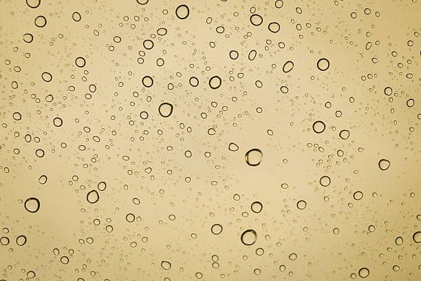 бели вина - 68533 вида