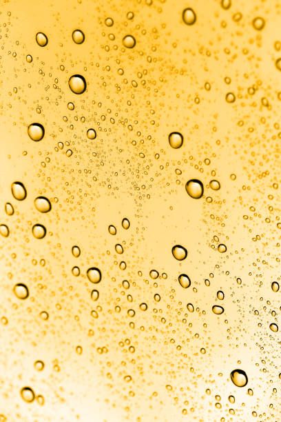 бели вина - 48051 бестселъри