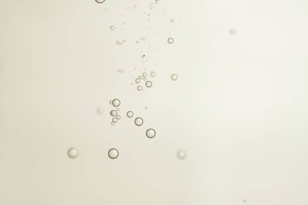 франчакорта - 17550 клиенти