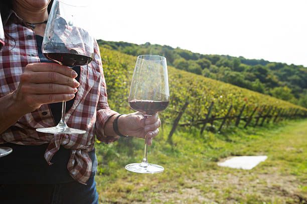 монтепулчано вино - 41493 комбинации