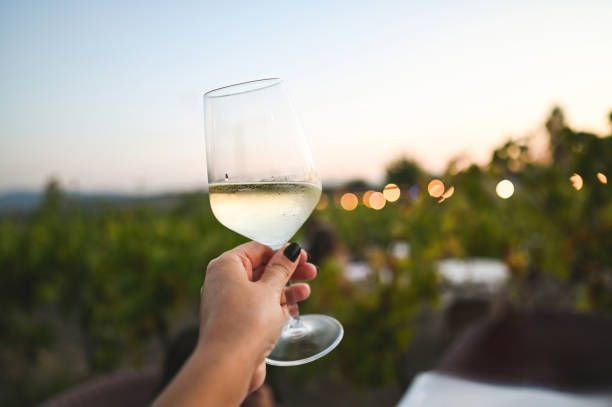 просеко - 6633 новини