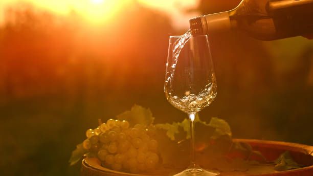 вино фиано - 9595 разновидности