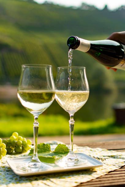 вино гарганега - 36998 вида