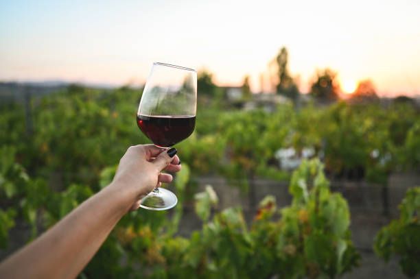 вино каберне - 90041 варианти