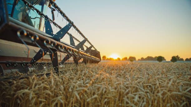 фермерство - 52296 снимки