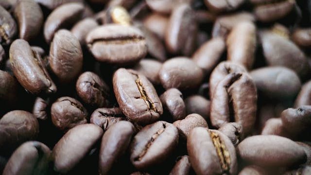 зърноборса - 76618 предложения