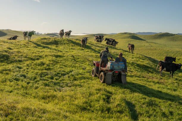 агро новини - 23211 бестселъри