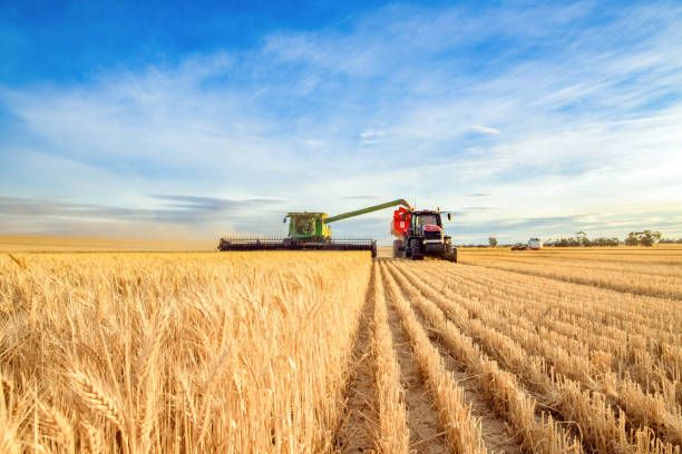 ДФЗ - 15128 новини | agrovest.bg ДФЗ - 12855 новини