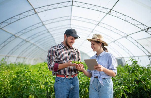 МЗХ - 99427 клиенти