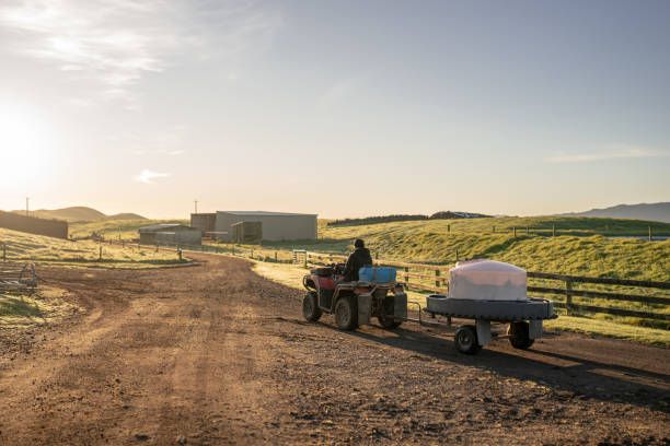 селско стопанство - 18337 селекции