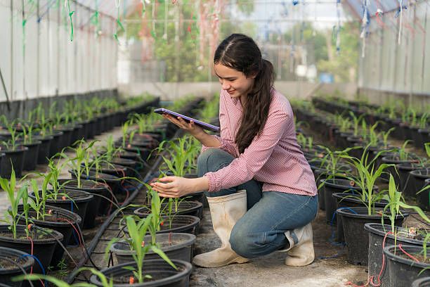 селско стопанство - 94406 цени
