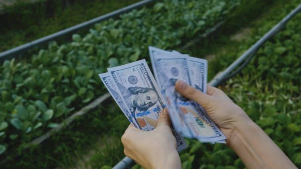 субсидии - 10464 отстъпки