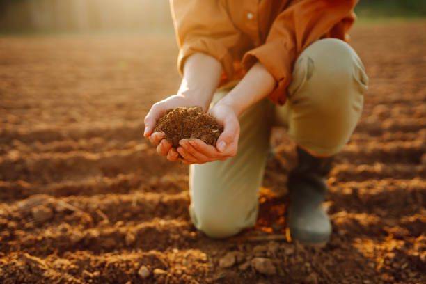 земеделие - 62121 награди