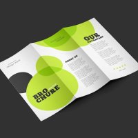 флаери - 7989 селекции